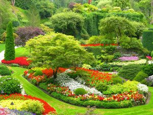 sunken gardens, butchart gardens